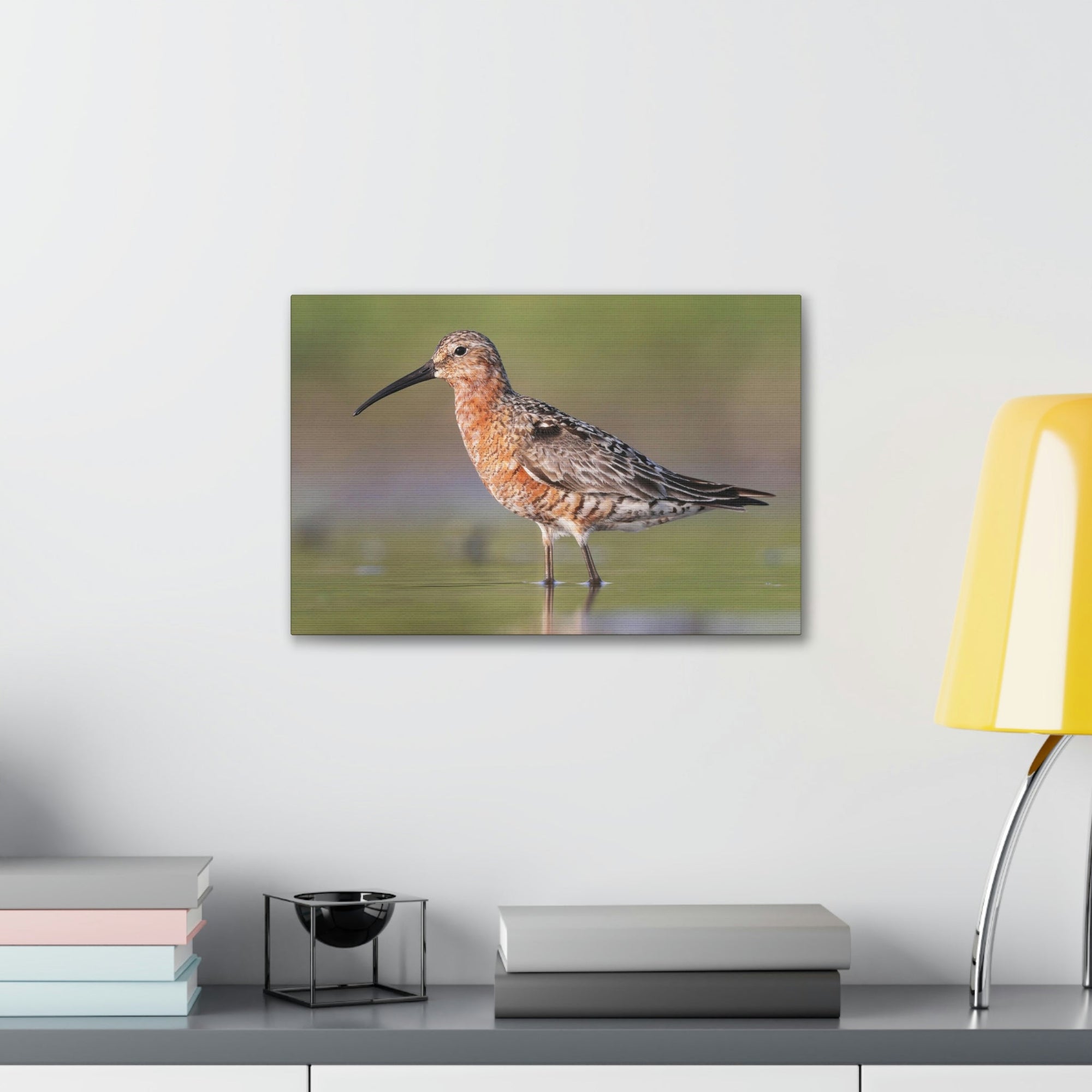 Scripture Walls Sandpiper Hunting Sandpiper on Hunt Print Animal Wall Art Wildlife Canvas Prints Wall Art Ready to Hang Unframed-Express Your Love Gifts