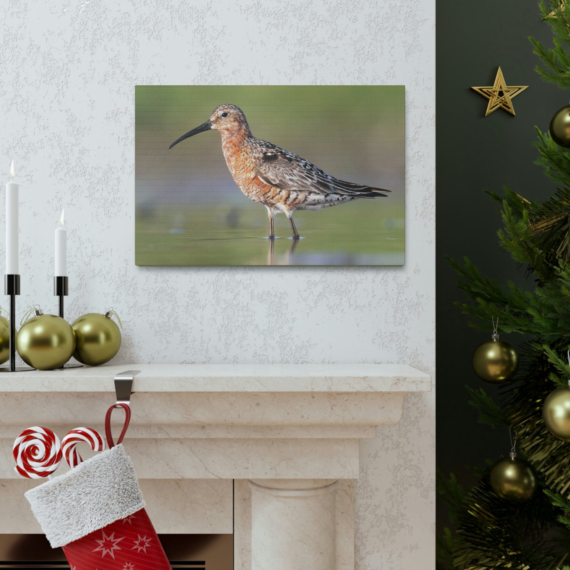 Scripture Walls Sandpiper Hunting Sandpiper on Hunt Print Animal Wall Art Wildlife Canvas Prints Wall Art Ready to Hang Unframed-Express Your Love Gifts