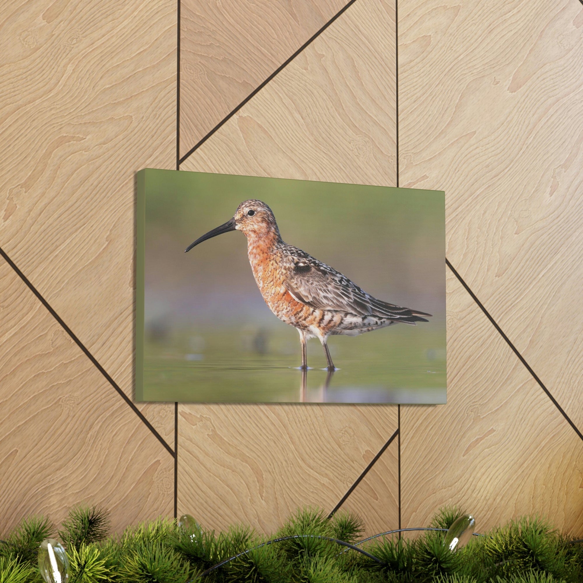 Scripture Walls Sandpiper Hunting Sandpiper on Hunt Print Animal Wall Art Wildlife Canvas Prints Wall Art Ready to Hang Unframed-Express Your Love Gifts