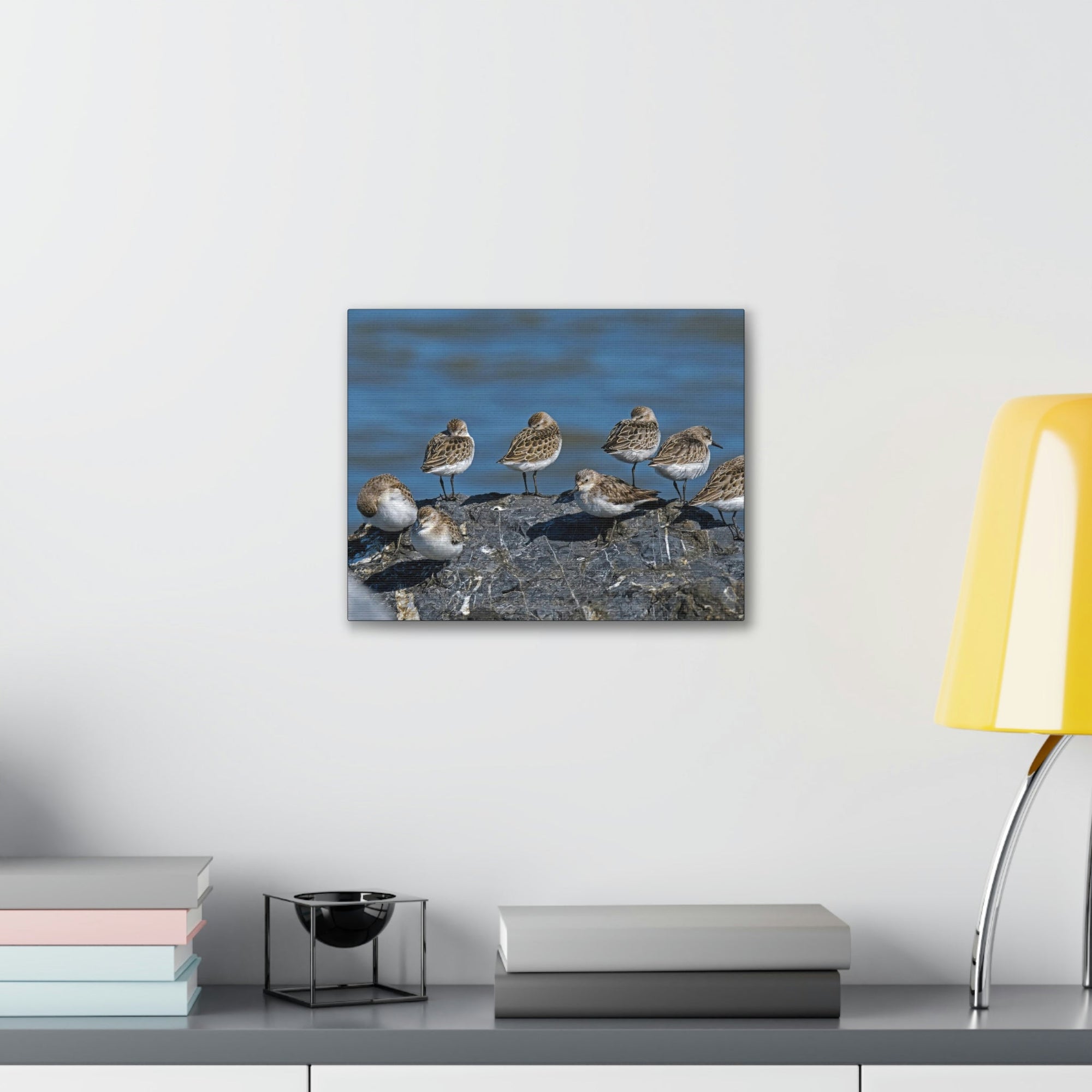 Scripture Walls Sandpipers on a Rock Animal Wall Art Wildlife Canvas Prints Wall Art Ready to Hang Unframed-Express Your Love Gifts