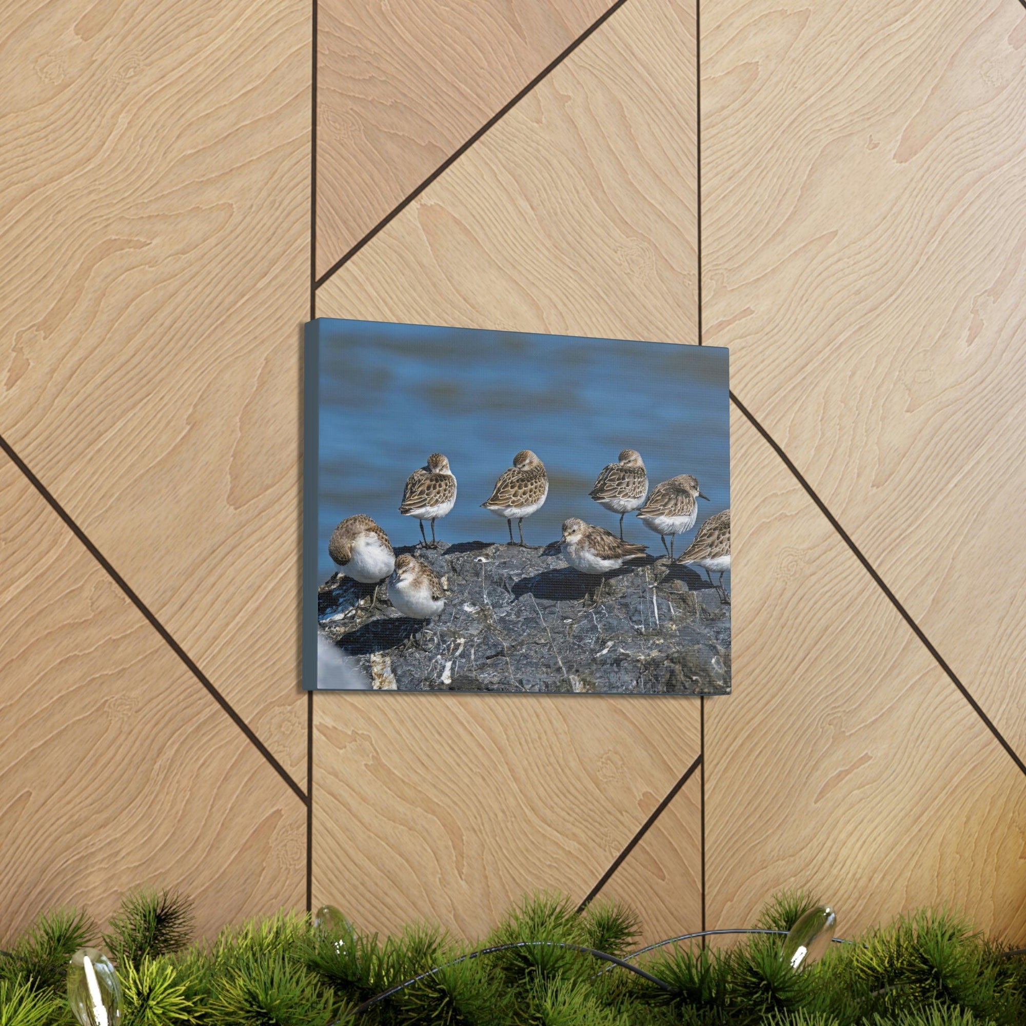 Scripture Walls Sandpipers on a Rock Animal Wall Art Wildlife Canvas Prints Wall Art Ready to Hang Unframed-Express Your Love Gifts