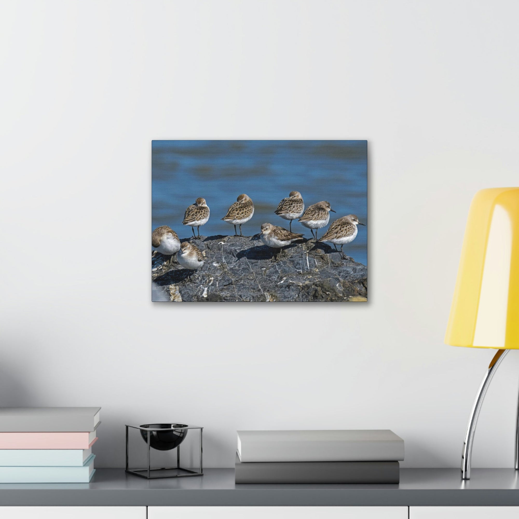 Scripture Walls Sandpipers on a Rock Animal Wall Art Wildlife Canvas Prints Wall Art Ready to Hang Unframed-Express Your Love Gifts