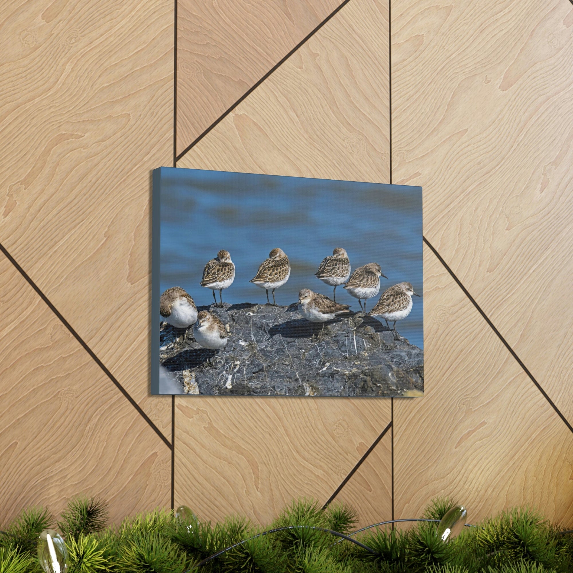 Scripture Walls Sandpipers on a Rock Animal Wall Art Wildlife Canvas Prints Wall Art Ready to Hang Unframed-Express Your Love Gifts