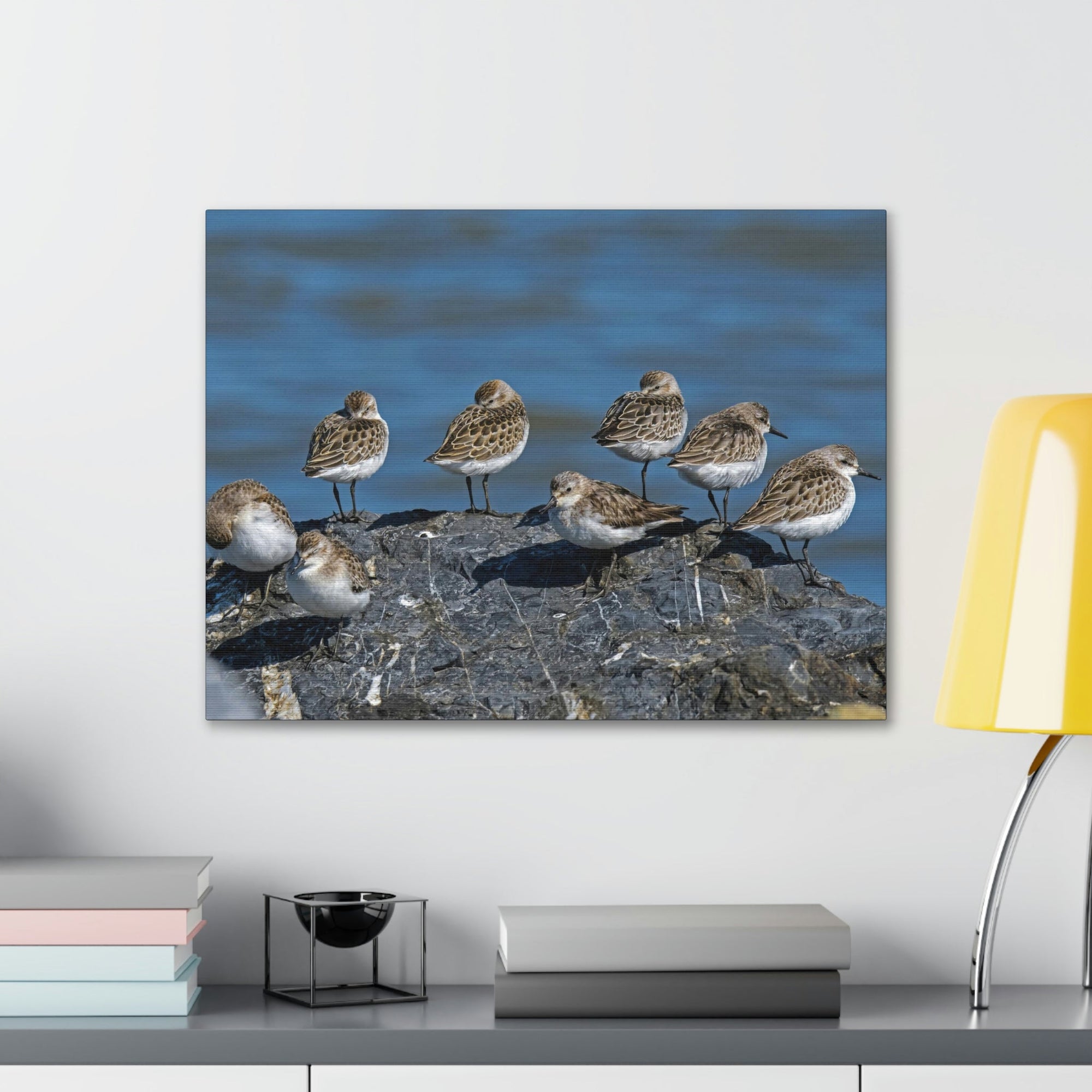 Scripture Walls Sandpipers on a Rock Animal Wall Art Wildlife Canvas Prints Wall Art Ready to Hang Unframed-Express Your Love Gifts