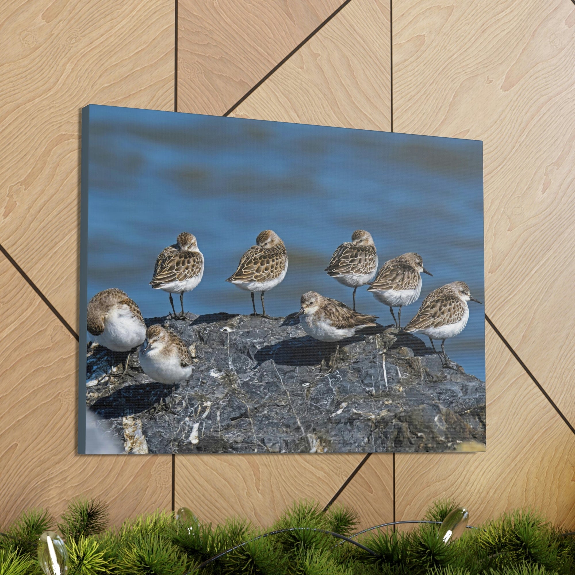 Scripture Walls Sandpipers on a Rock Animal Wall Art Wildlife Canvas Prints Wall Art Ready to Hang Unframed-Express Your Love Gifts