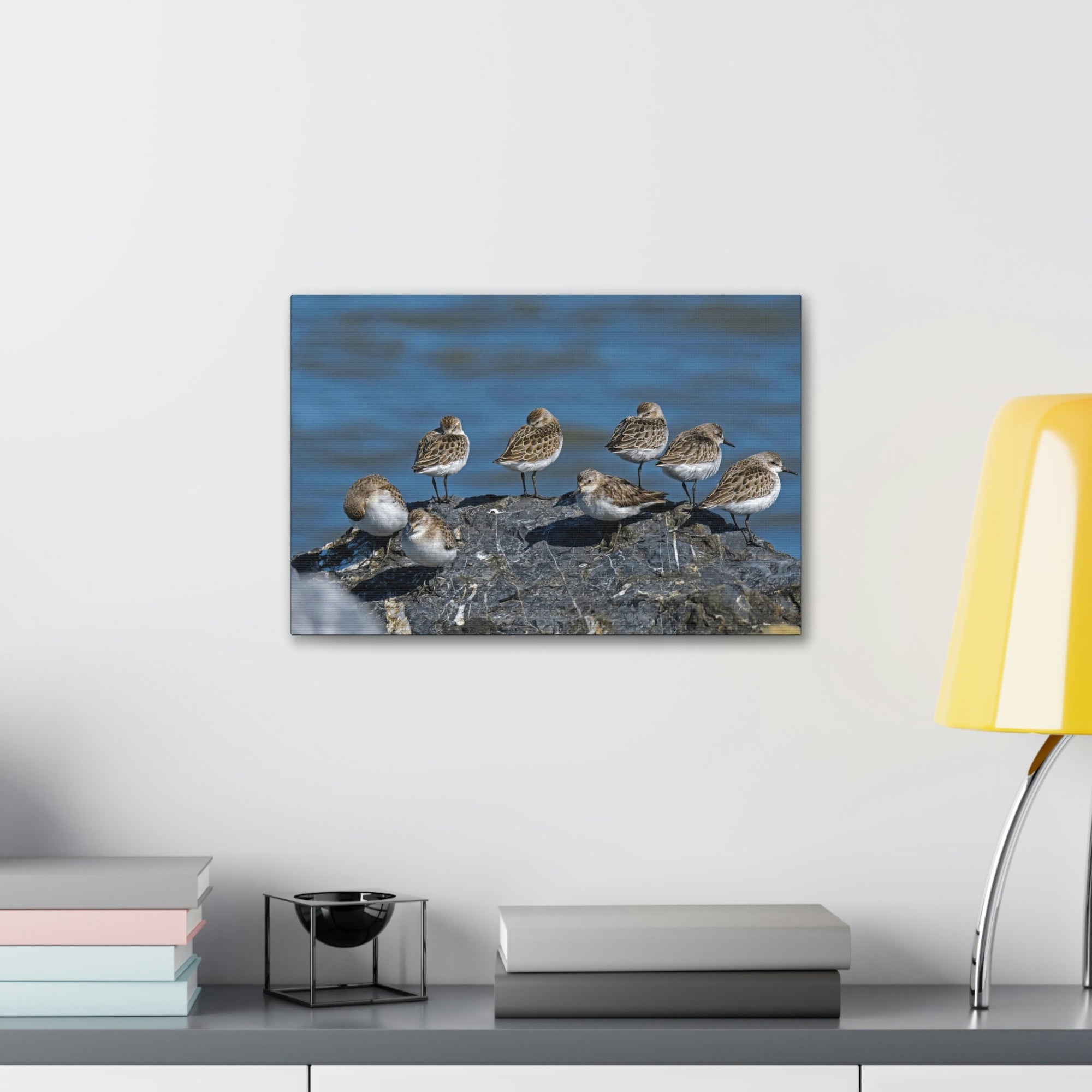 Scripture Walls Sandpipers on a Rock Animal Wall Art Wildlife Canvas Prints Wall Art Ready to Hang Unframed-Express Your Love Gifts