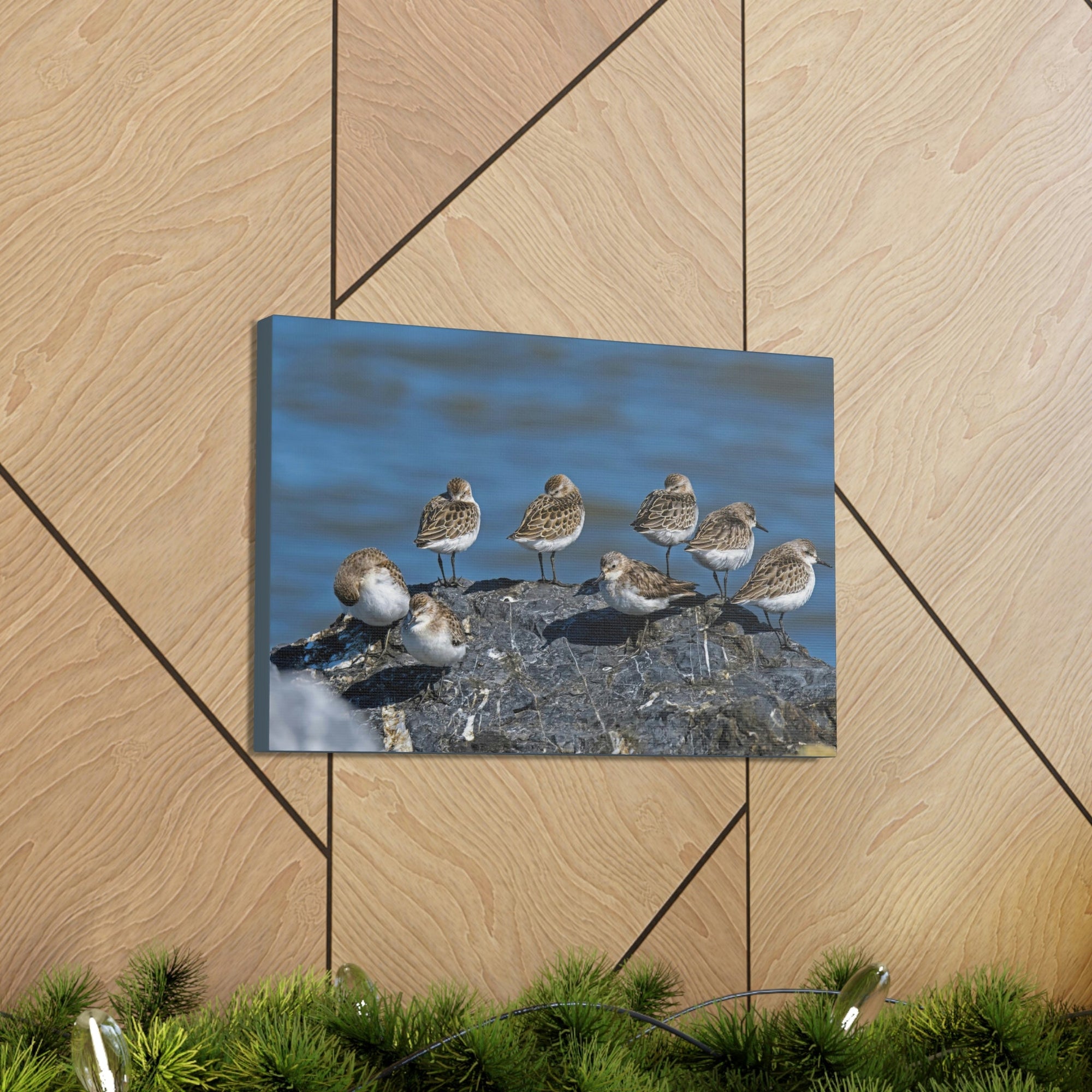 Scripture Walls Sandpipers on a Rock Animal Wall Art Wildlife Canvas Prints Wall Art Ready to Hang Unframed-Express Your Love Gifts