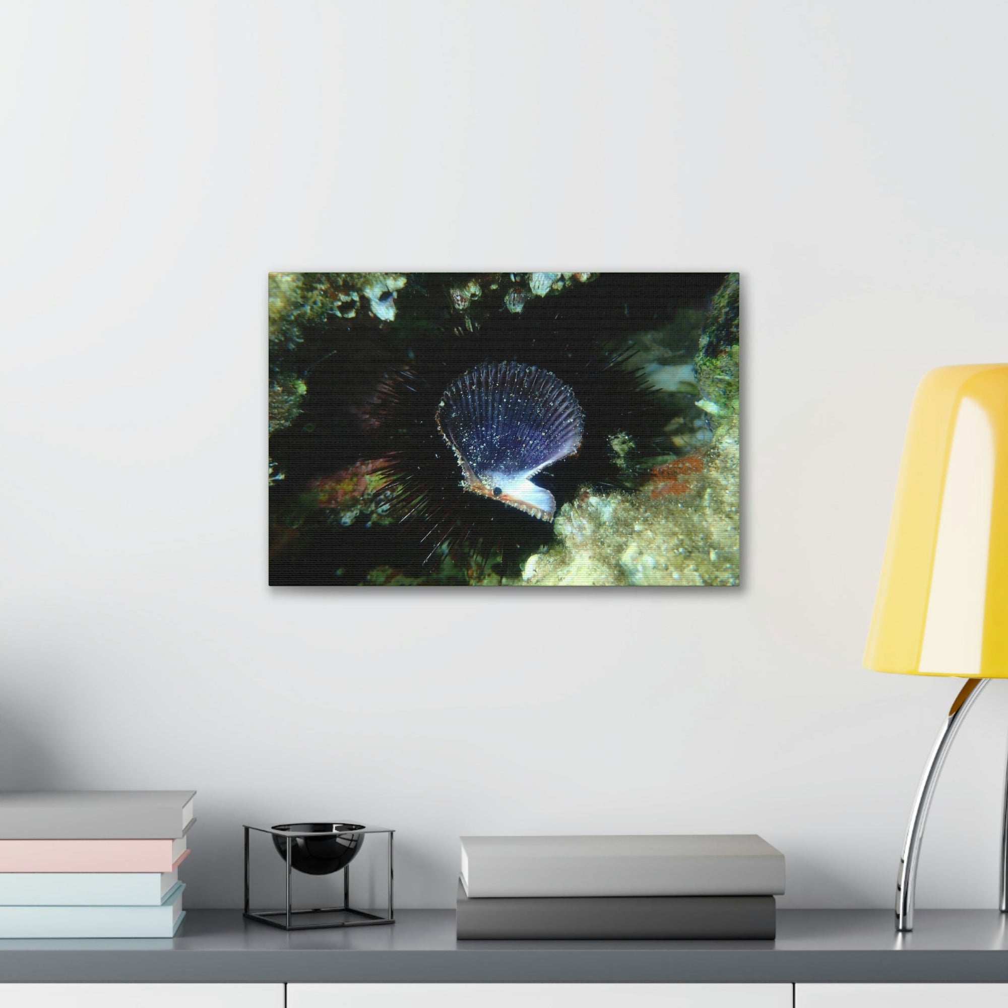 Scripture Walls Scallop Hunting Scallop on Hunt Print Animal Wall Art Wildlife Canvas Prints Wall Art Ready to Hang Unframed-Express Your Love Gifts