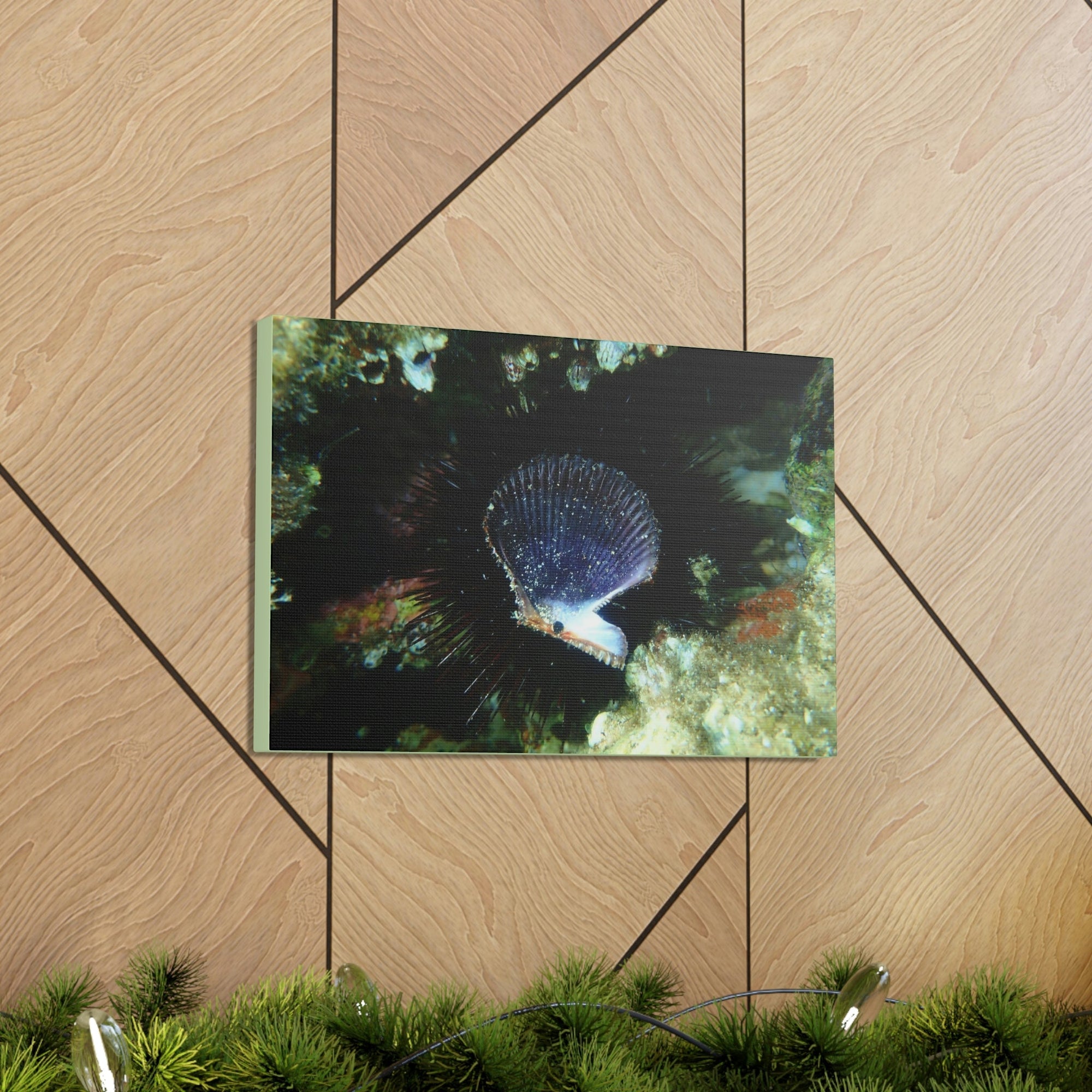 Scripture Walls Scallop Hunting Scallop on Hunt Print Animal Wall Art Wildlife Canvas Prints Wall Art Ready to Hang Unframed-Express Your Love Gifts