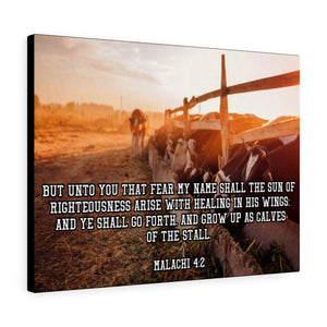 Scripture Walls And Ye Shall Go Forth Malachi 4:2 Bible Verse Canvas Christian Wall Art Ready to Hang Unframed-Express Your Love Gifts