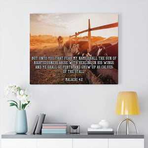 Scripture Walls And Ye Shall Go Forth Malachi 4:2 Bible Verse Canvas Christian Wall Art Ready to Hang Unframed-Express Your Love Gifts