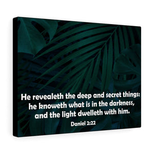 Scripture Walls Deep and Secret Things Daniel 2:22 Bible Verse Canvas Christian Wall Art Ready to Hang Unframed-Express Your Love Gifts