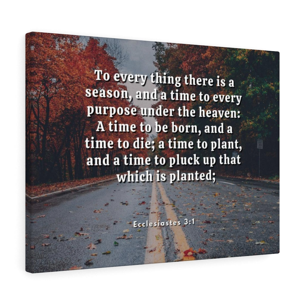 Scripture Walls Every Purpose Ecclesiastes 3:1 Bible Verse Canvas Christian Wall Art Ready to Hang Unframed-Express Your Love Gifts