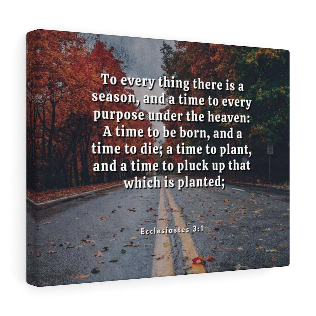 Scripture Walls Every Purpose Ecclesiastes 3:1 Bible Verse Canvas Christian Wall Art Ready to Hang Unframed-Express Your Love Gifts