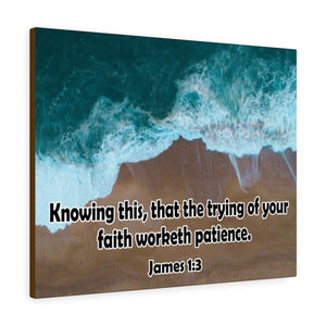 Scripture Walls Faith Worketh Patience James 1:3 Bible Verse Canvas Christian Wall Art Ready to Hang Unframed-Express Your Love Gifts