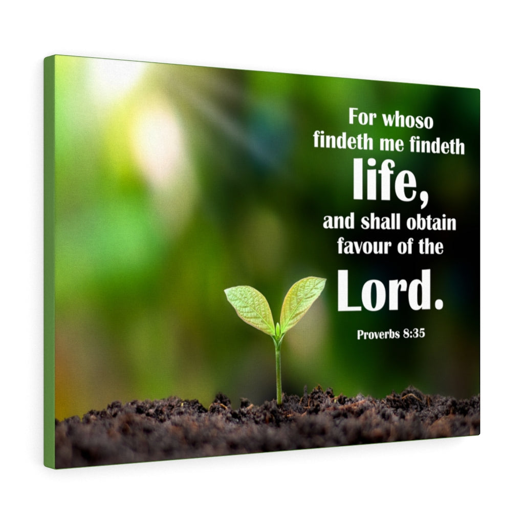 Scripture Walls Favour of The Lord Proverbs 8:35 Bible Verse Canvas Christian Wall Art Ready to Hang Unframed-Express Your Love Gifts