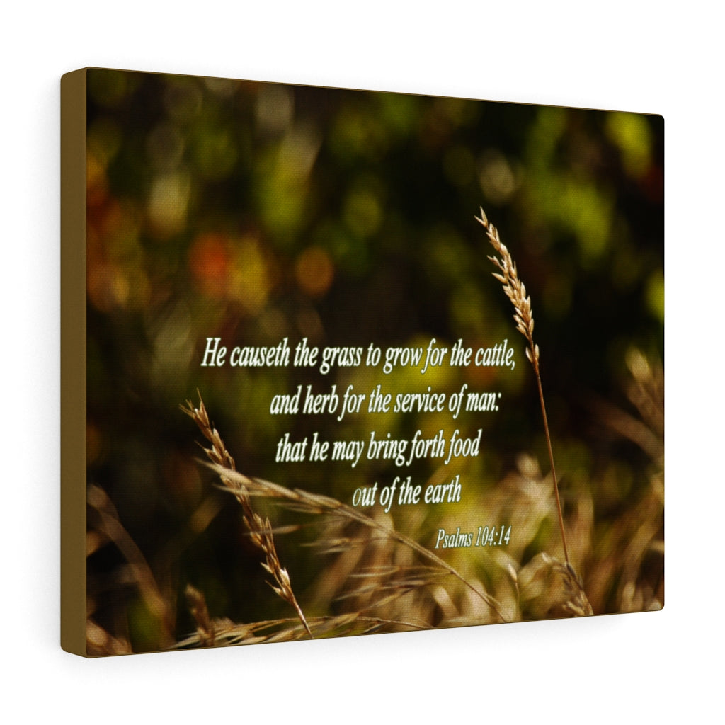 Scripture Walls He May Bring Forth Psalms 104:14 Bible Verse Canvas Christian Wall Art Ready to Hang Unframed-Express Your Love Gifts