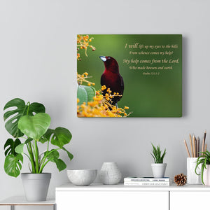Scripture Walls Heaven and Earth Psalm 121:1-2 Bible Verse Canvas Christian Wall Art Ready to Hang Unframed-Express Your Love Gifts