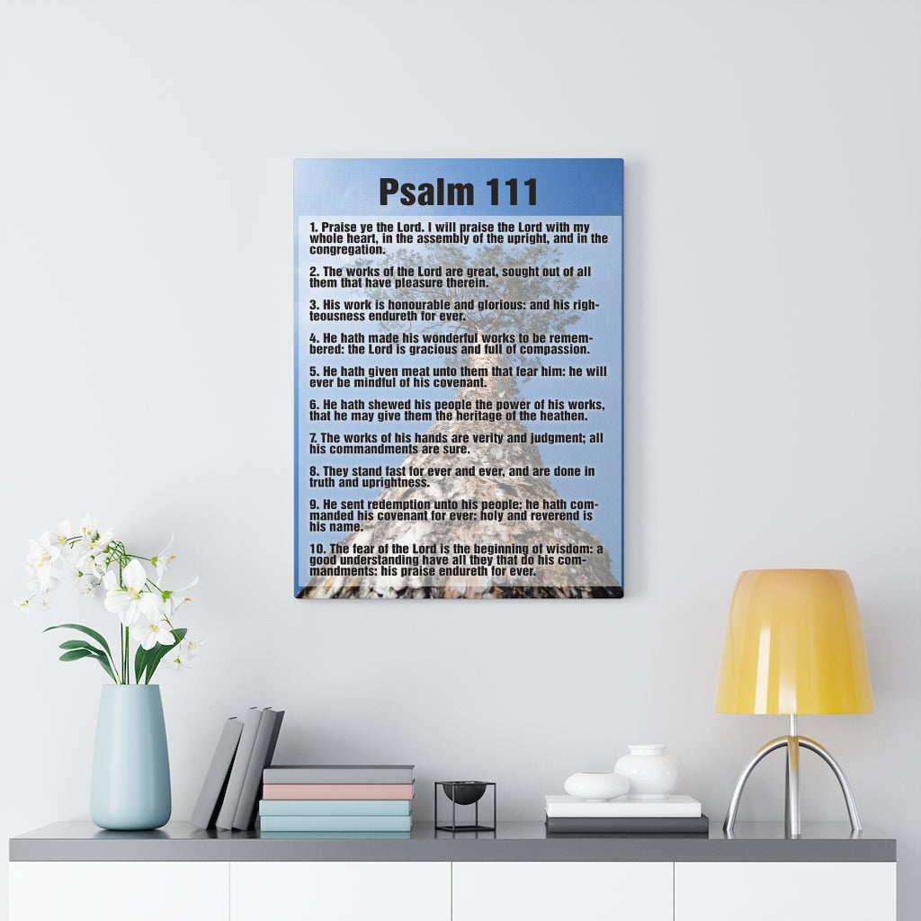 Scripture Walls His Goodness Endures Forever Psalm 111 Bible Verse Canvas Christian Wall Art Ready to Hang Unframed-Express Your Love Gifts