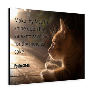 Scripture Walls Make Thy Face Psalm 31:16 Bible Verse Canvas Christian Wall Art Ready to Hang Unframed-Express Your Love Gifts