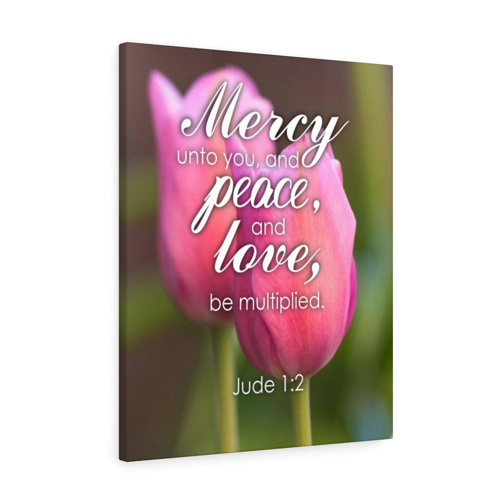 Scripture Walls Mercy Peace Love Jude 1:2 Bible Verse Canvas Christian Wall Art Ready to Hang Unframed-Express Your Love Gifts