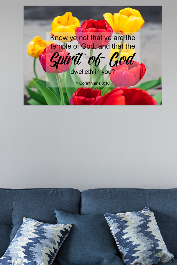 Scripture Walls Spirit of God 1 Corinthians 3:16 Christian Wall Art Print Ready to Hang Unframed-Express Your Love Gifts