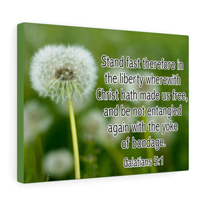 Scripture Walls Stand Fast Galatians 5:1 Bible Verse Canvas Christian Wall Art Ready to Hang Unframed-Express Your Love Gifts