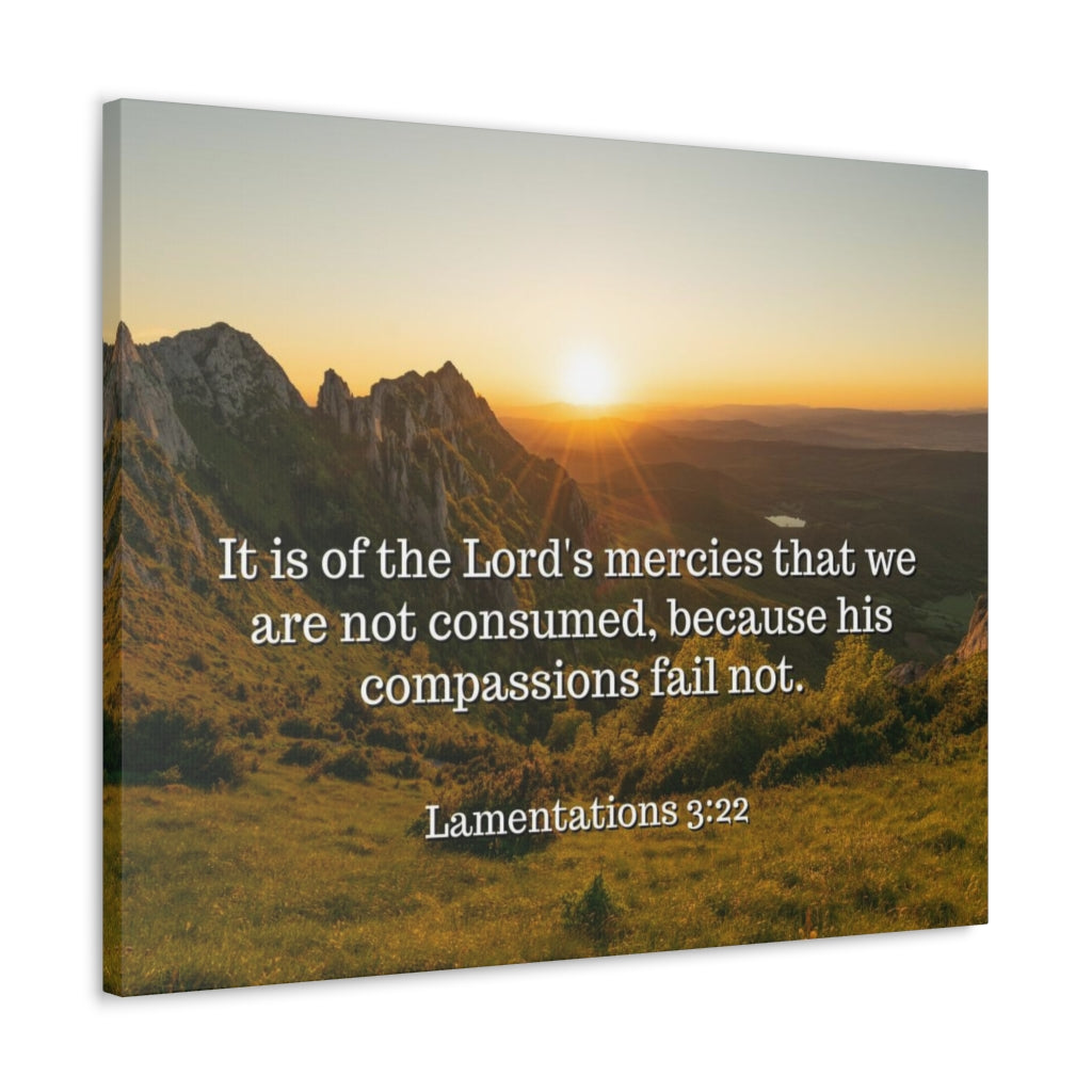 Scripture Walls The Lord's Mercies Lamentations 3:22 Bible Verse Canvas Christian Wall Art Ready to Hang Unframed-Express Your Love Gifts