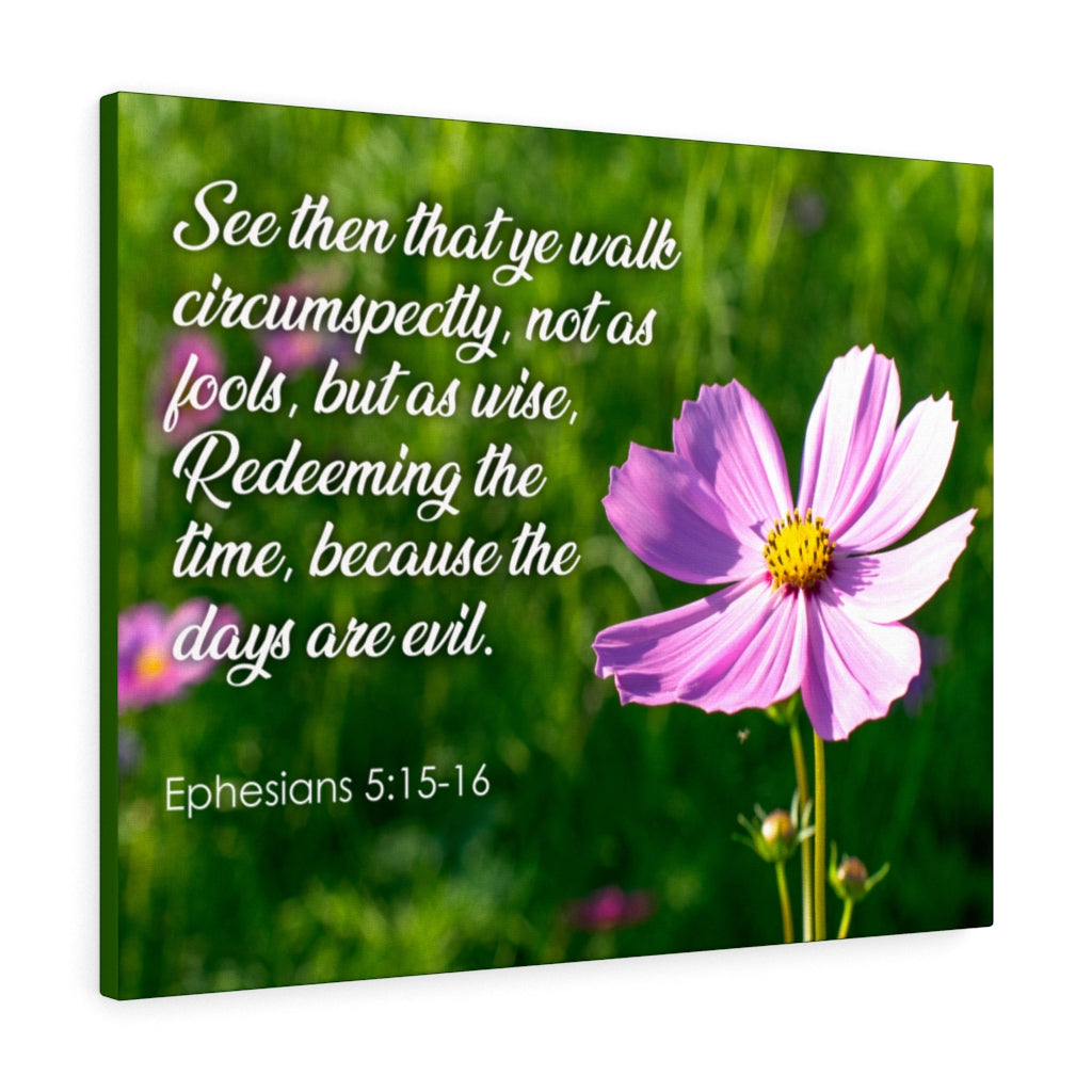 Scripture Walls Walk Circumspectly Ephesians 5:15-16 Bible Verse Canvas Christian Wall Art Ready to Hang Unframed-Express Your Love Gifts
