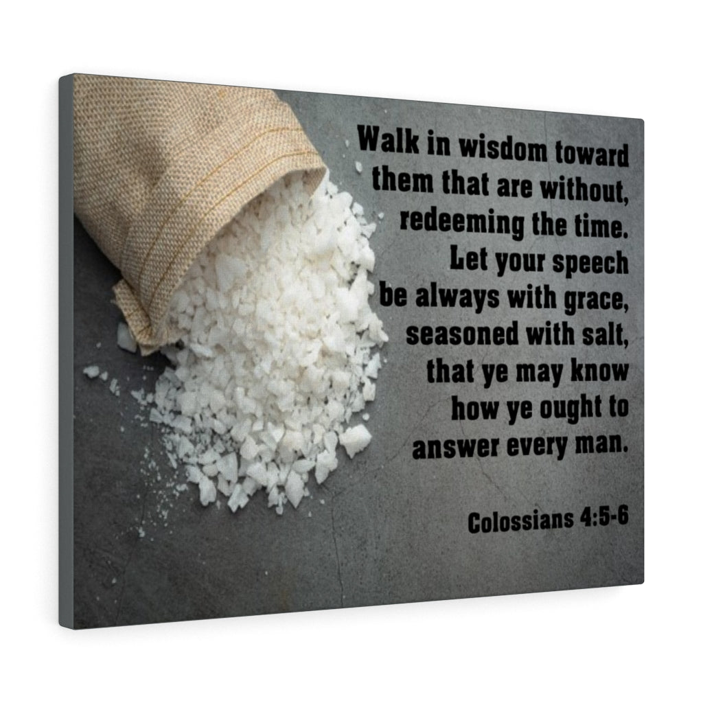 Scripture Walls Walk in Wisdom Colossians 4:5-6 Bible Verse Canvas Christian Wall Art Ready to Hang Unframed-Express Your Love Gifts