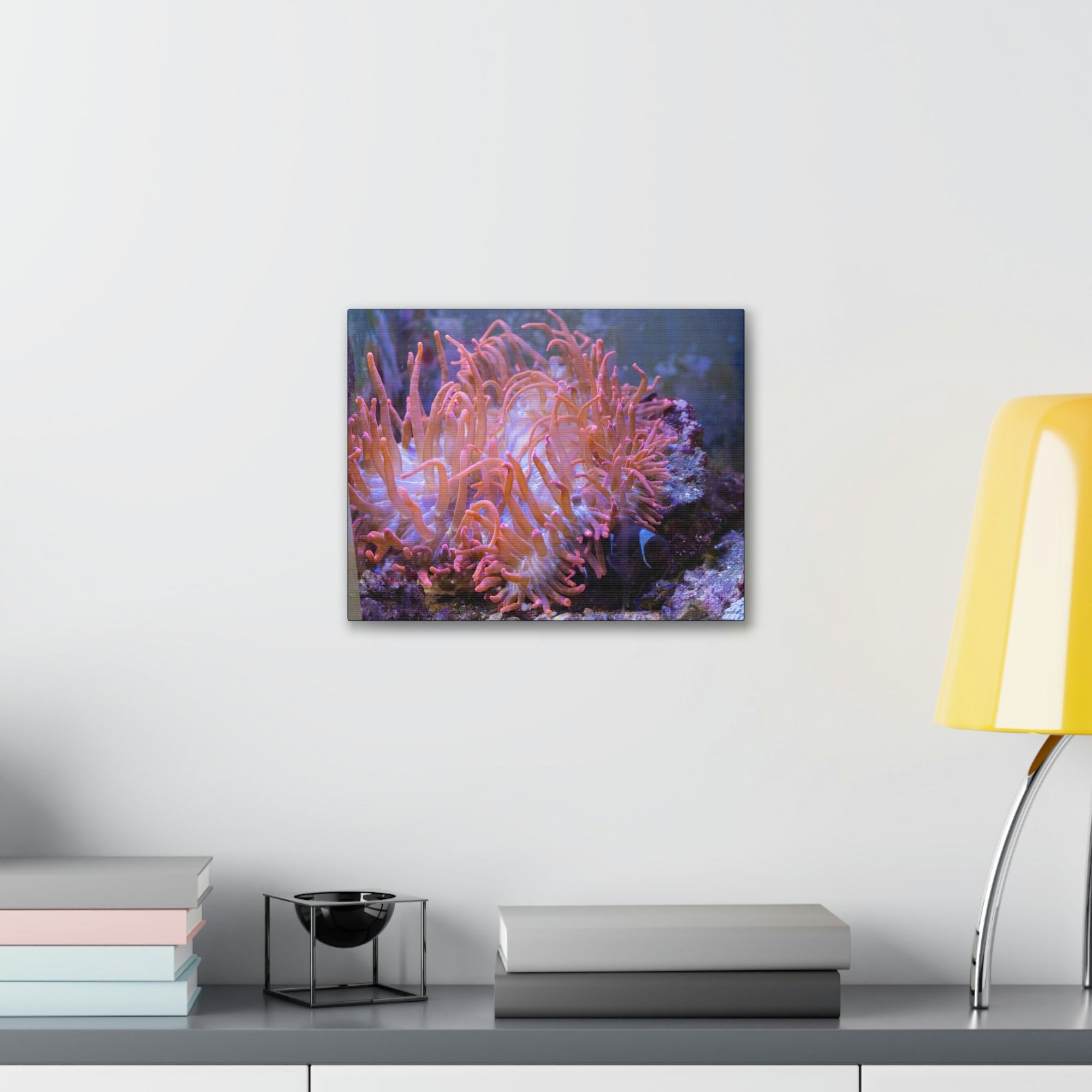 Scripture Walls Sea Anemone Group Sea Anemone Troop Print Animal Wall Art Wildlife Canvas Prints Wall Art Ready to Hang Unframed-Express Your Love Gifts