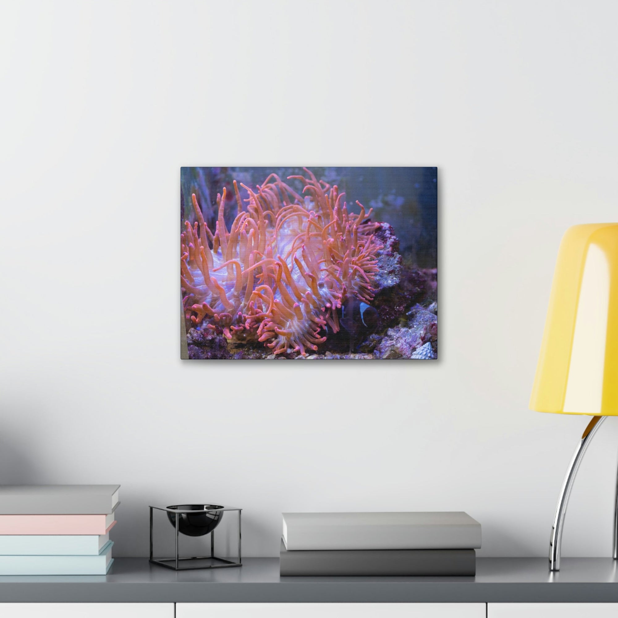 Scripture Walls Sea Anemone Group Sea Anemone Troop Print Animal Wall Art Wildlife Canvas Prints Wall Art Ready to Hang Unframed-Express Your Love Gifts