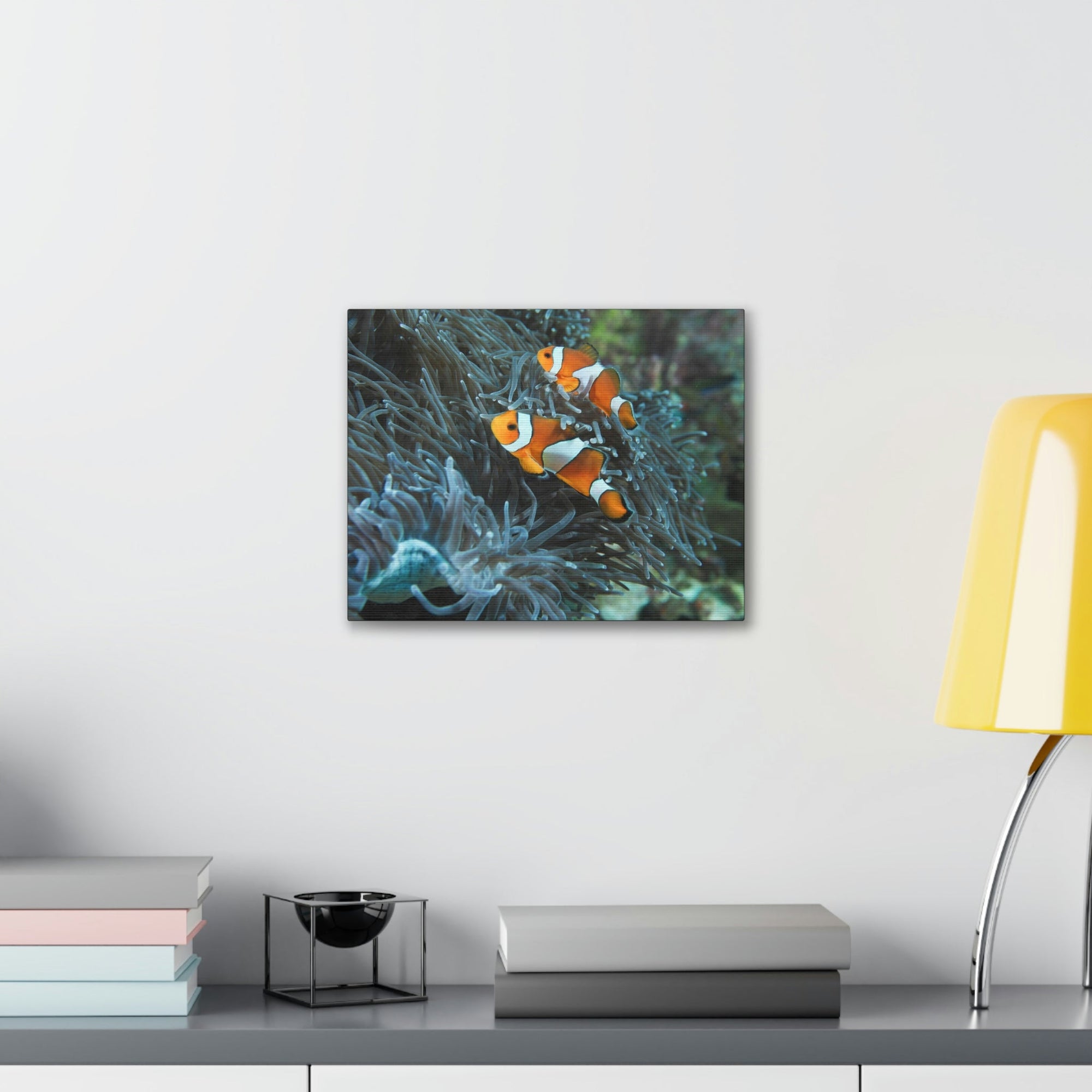 Scripture Walls Sea Anemone Hunting Sea Anemone on Hunt Print Animal Wall Art Wildlife Canvas Prints Wall Art Ready to Hang Unframed-Express Your Love Gifts