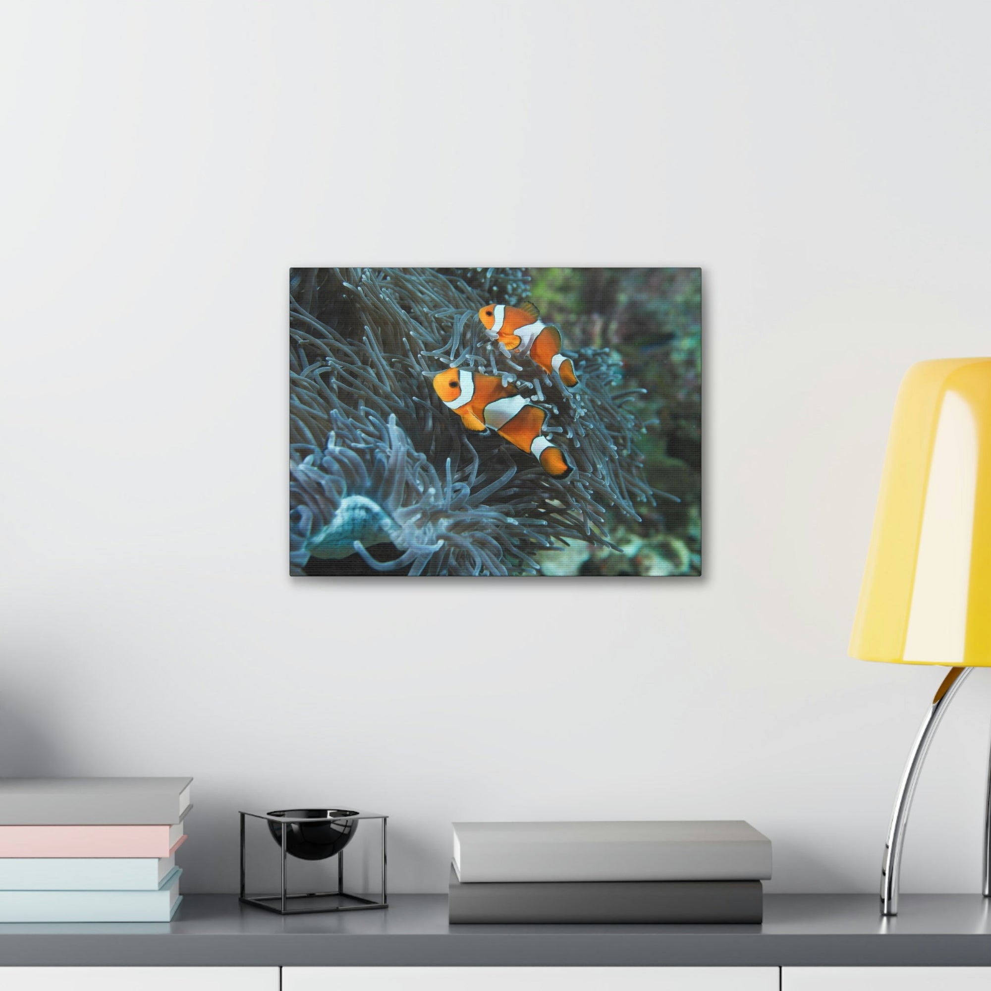 Scripture Walls Sea Anemone Hunting Sea Anemone on Hunt Print Animal Wall Art Wildlife Canvas Prints Wall Art Ready to Hang Unframed-Express Your Love Gifts