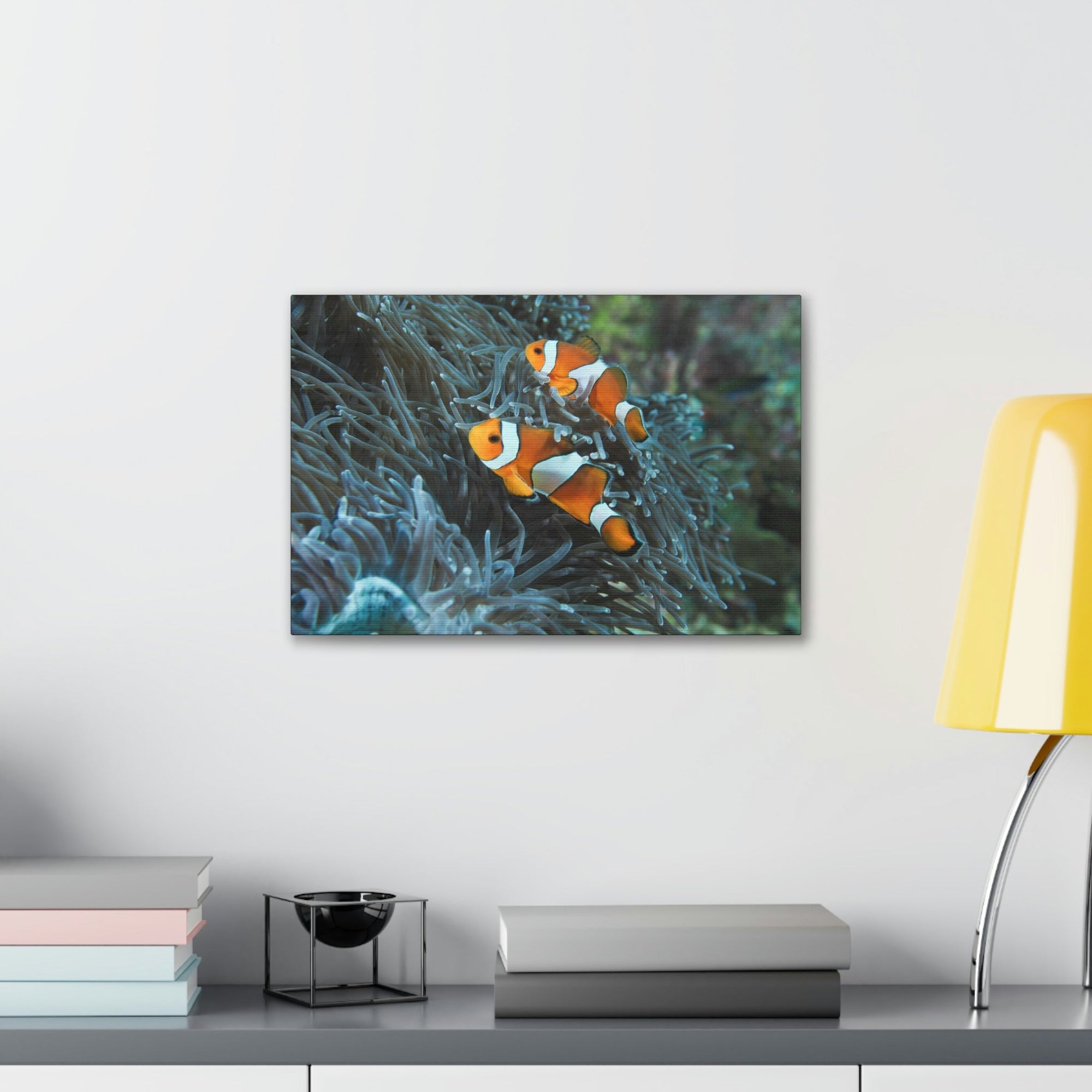 Scripture Walls Sea Anemone Hunting Sea Anemone on Hunt Print Animal Wall Art Wildlife Canvas Prints Wall Art Ready to Hang Unframed-Express Your Love Gifts