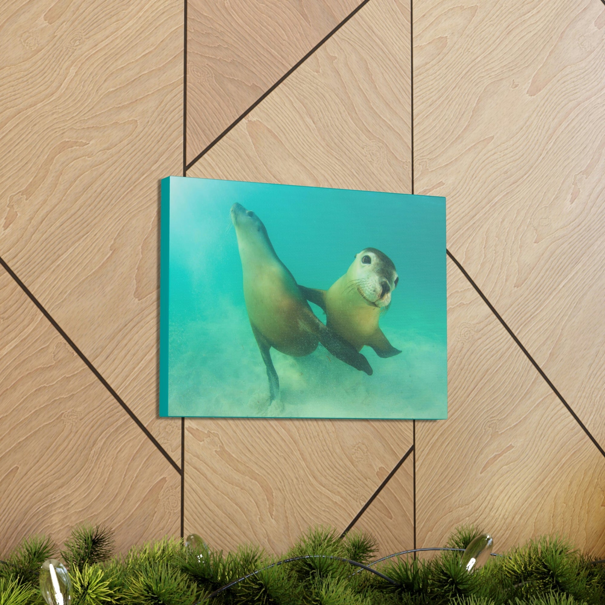 Scripture Walls Sea Lion Couple Sea Lion Couple Print Animal Wall Art Wildlife Canvas Prints Wall Art Ready to Hang Unframed-Express Your Love Gifts