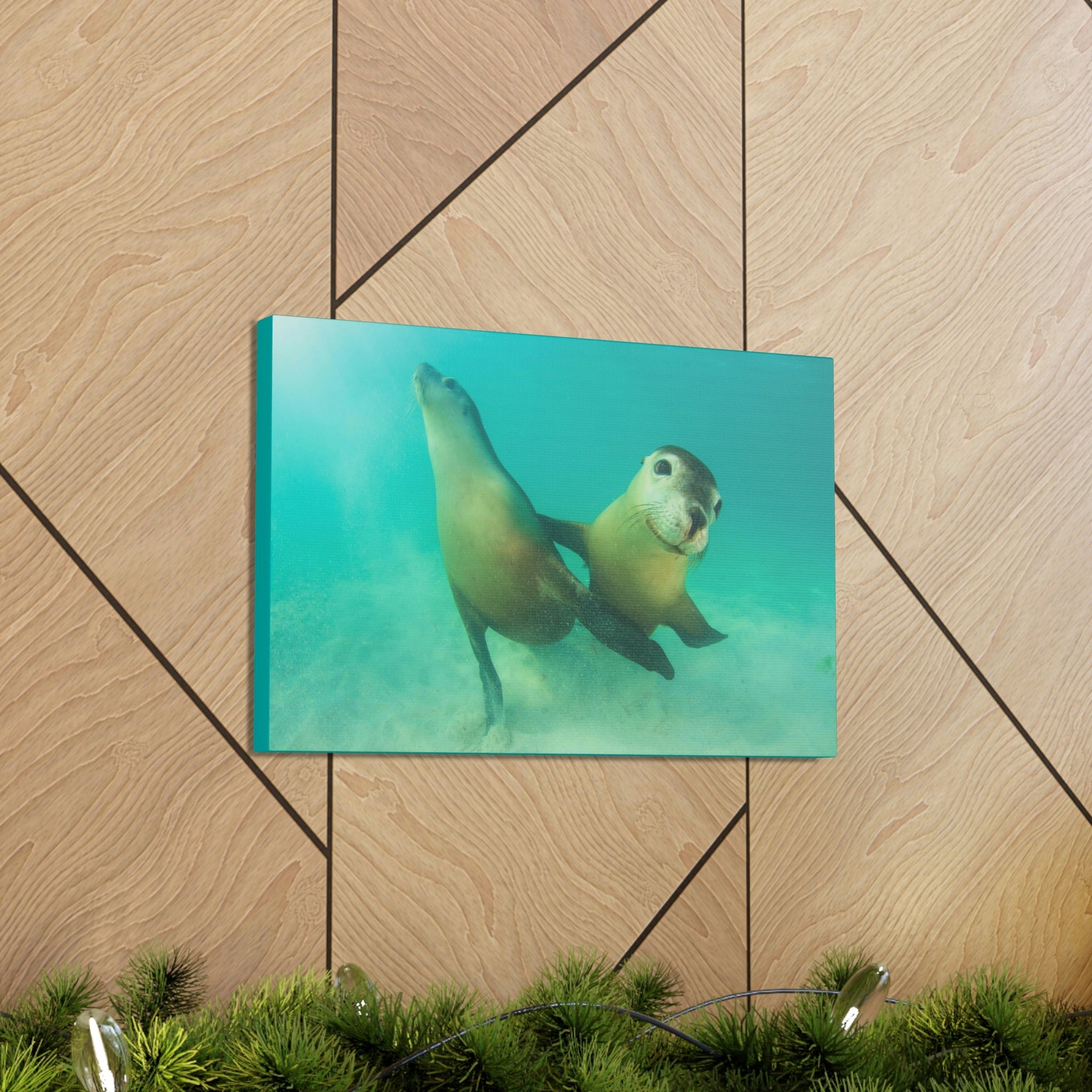 Scripture Walls Sea Lion Couple Sea Lion Couple Print Animal Wall Art Wildlife Canvas Prints Wall Art Ready to Hang Unframed-Express Your Love Gifts