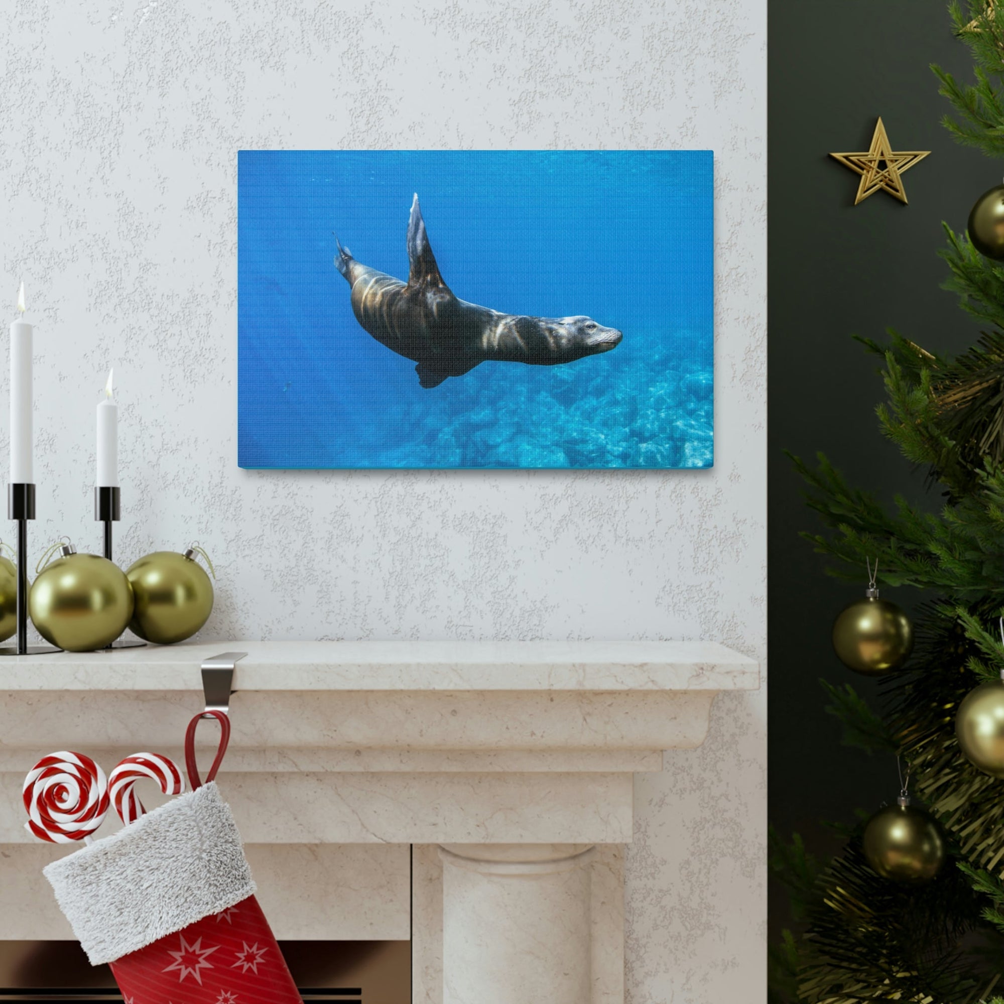 Scripture Walls Sea Lion Hunting Sea Lion on Hunt Print Animal Wall Art Wildlife Canvas Prints Wall Art Ready to Hang Unframed-Express Your Love Gifts