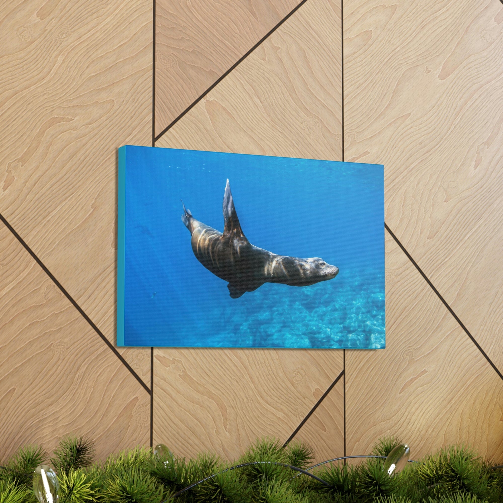 Scripture Walls Sea Lion Hunting Sea Lion on Hunt Print Animal Wall Art Wildlife Canvas Prints Wall Art Ready to Hang Unframed-Express Your Love Gifts