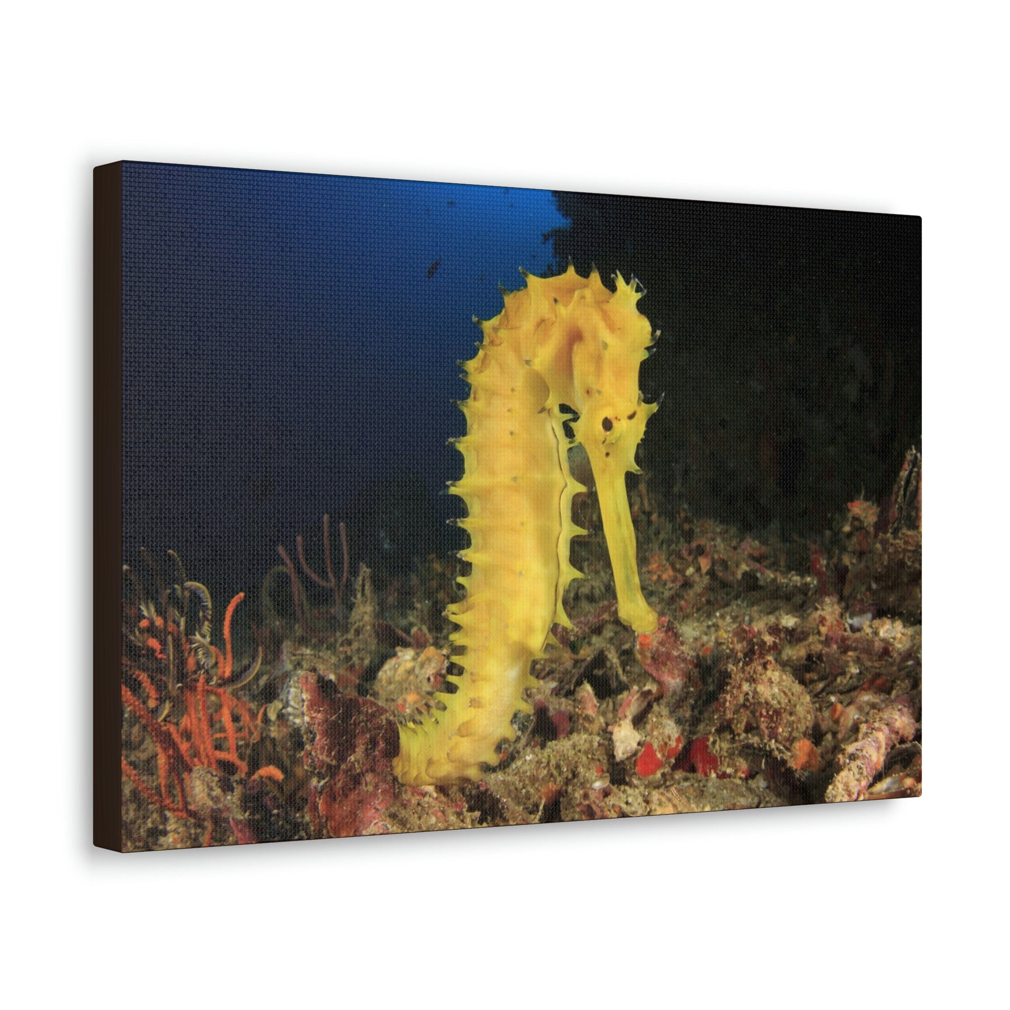 Scripture Walls Seahorse Hunting Seahorse on Hunt Print Animal Wall Art Wildlife Canvas Prints Wall Art Ready to Hang Unframed-Express Your Love Gifts