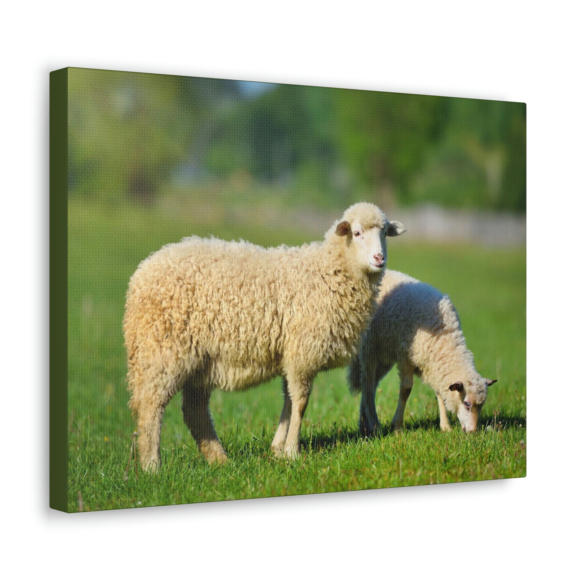 Scripture Walls Sheep Hunting Sheep on Hunt Print Animal Wall Art Wildlife Canvas Prints Wall Art Ready to Hang Unframed-Express Your Love Gifts