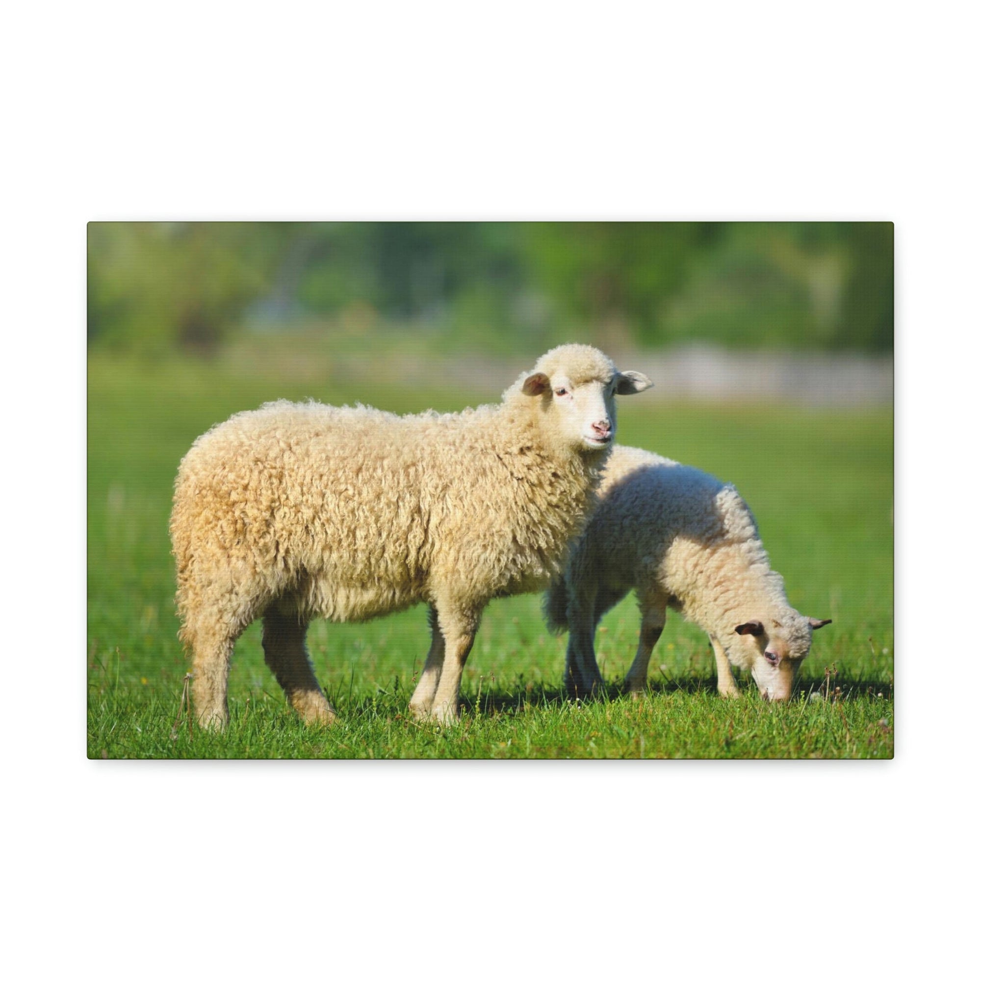 Scripture Walls Sheep Hunting Sheep on Hunt Print Animal Wall Art Wildlife Canvas Prints Wall Art Ready to Hang Unframed-Express Your Love Gifts