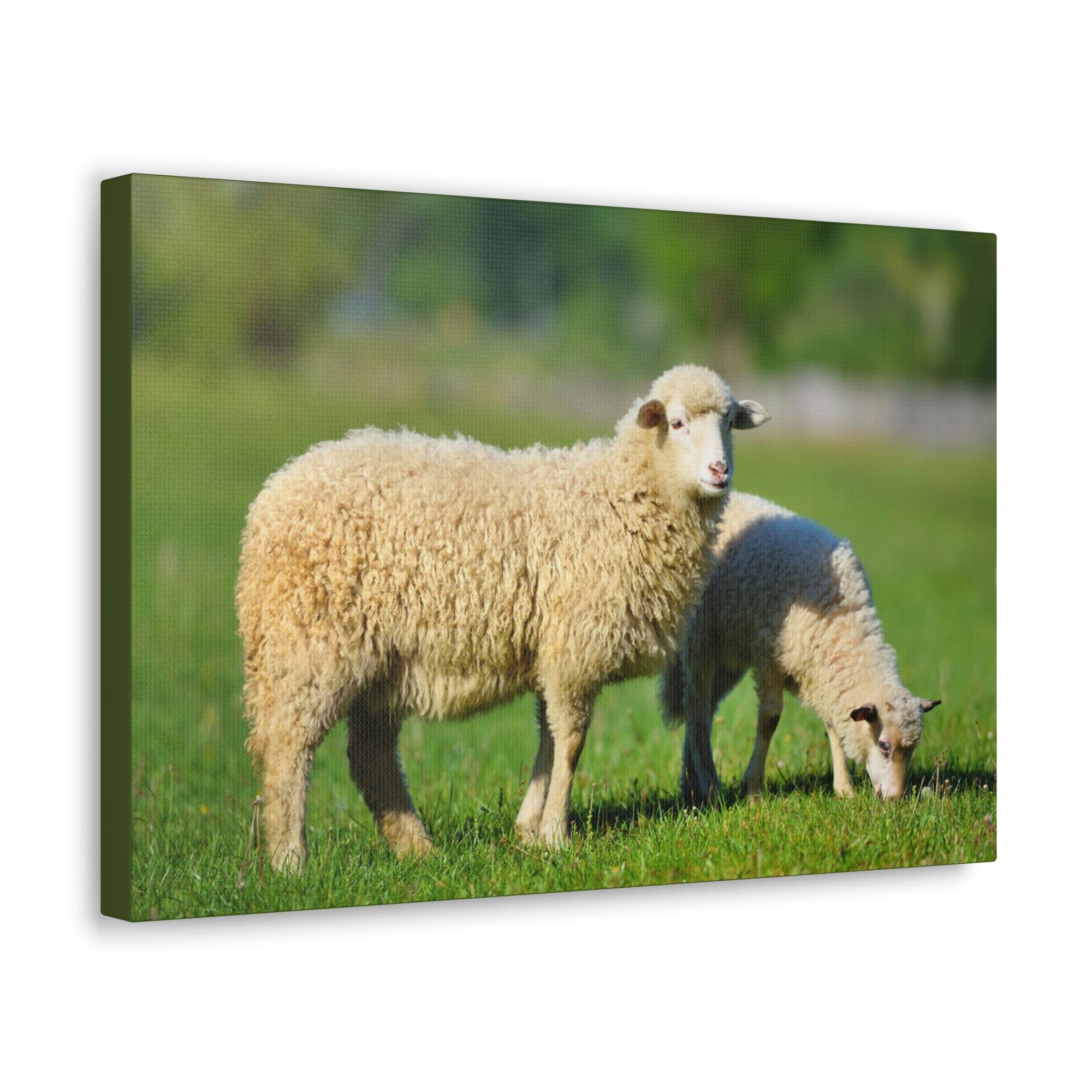 Scripture Walls Sheep Hunting Sheep on Hunt Print Animal Wall Art Wildlife Canvas Prints Wall Art Ready to Hang Unframed-Express Your Love Gifts