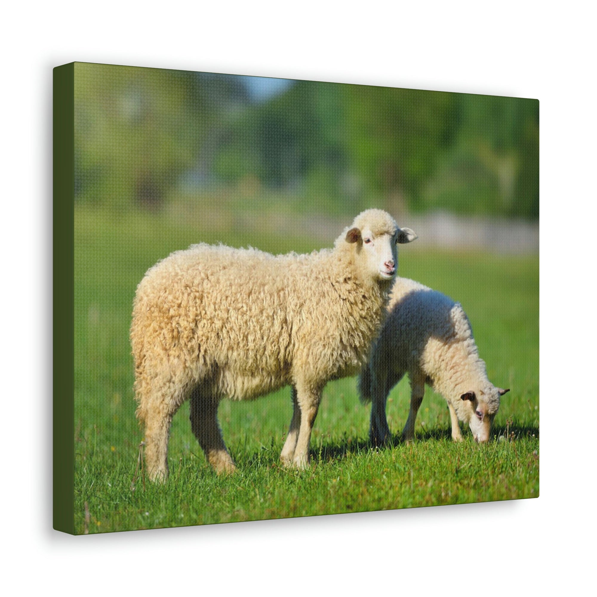 Scripture Walls Sheep Hunting Sheep on Hunt Print Animal Wall Art Wildlife Canvas Prints Wall Art Ready to Hang Unframed-Express Your Love Gifts