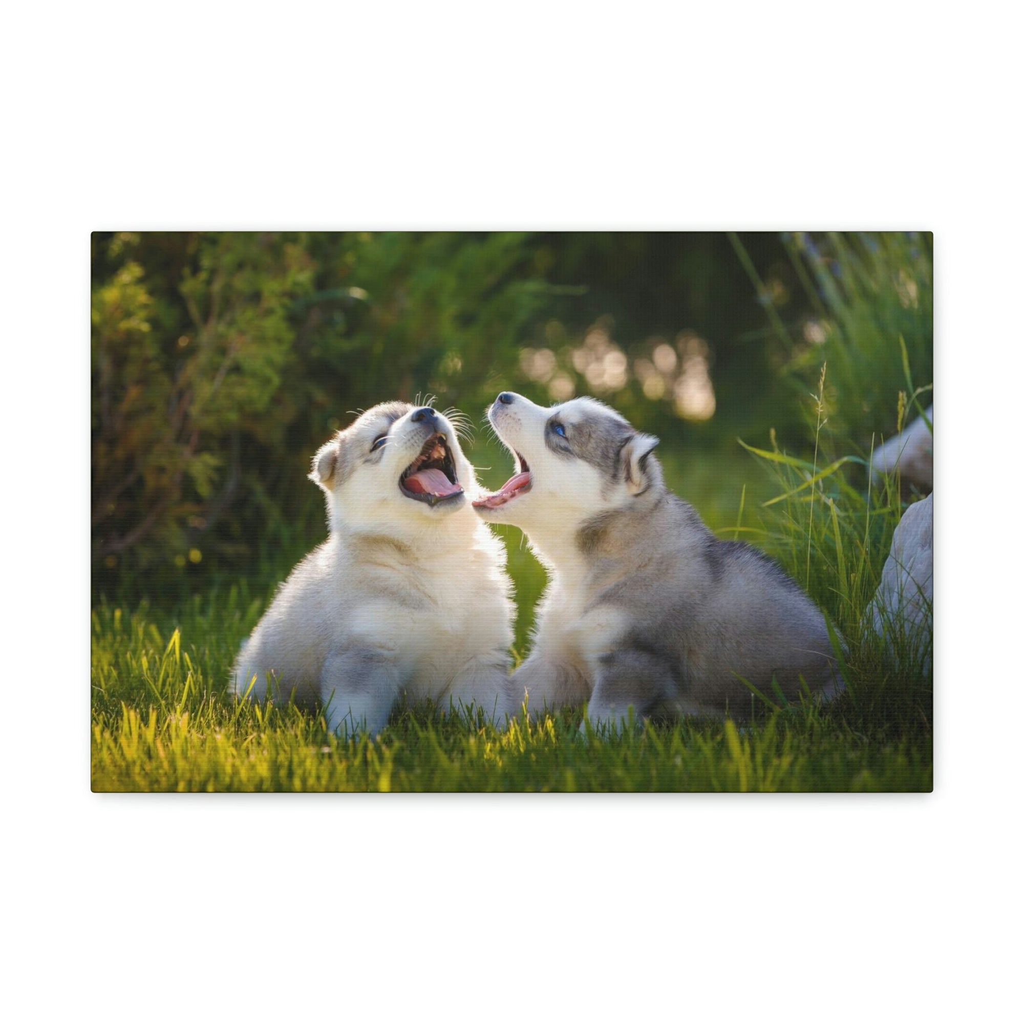 Scripture Walls Siberian Husky Couple Siberian Husky Couple Print Animal Wall Art Wildlife Canvas Prints Wall Art Ready to Hang Unframed-Express Your Love Gifts