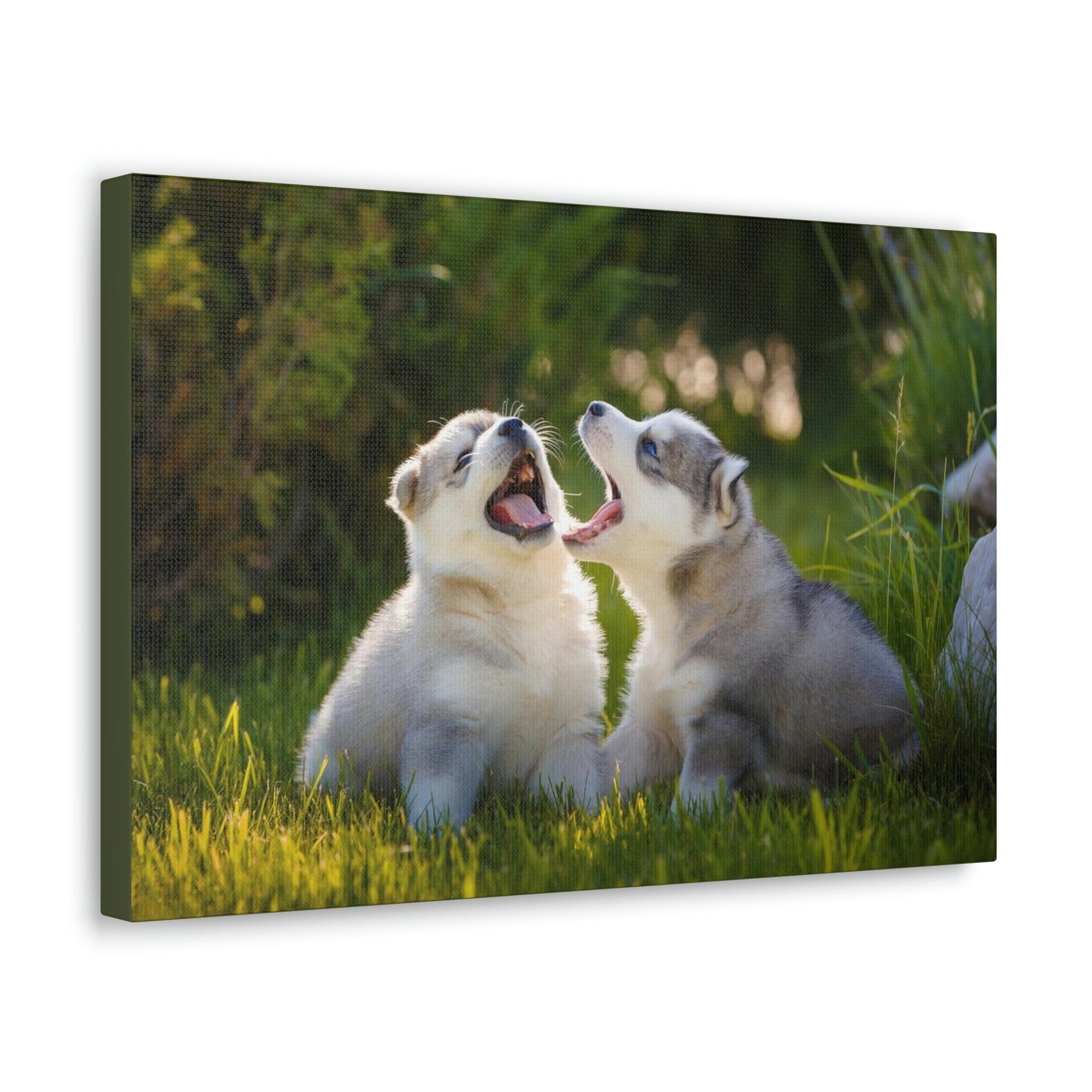 Scripture Walls Siberian Husky Couple Siberian Husky Couple Print Animal Wall Art Wildlife Canvas Prints Wall Art Ready to Hang Unframed-Express Your Love Gifts