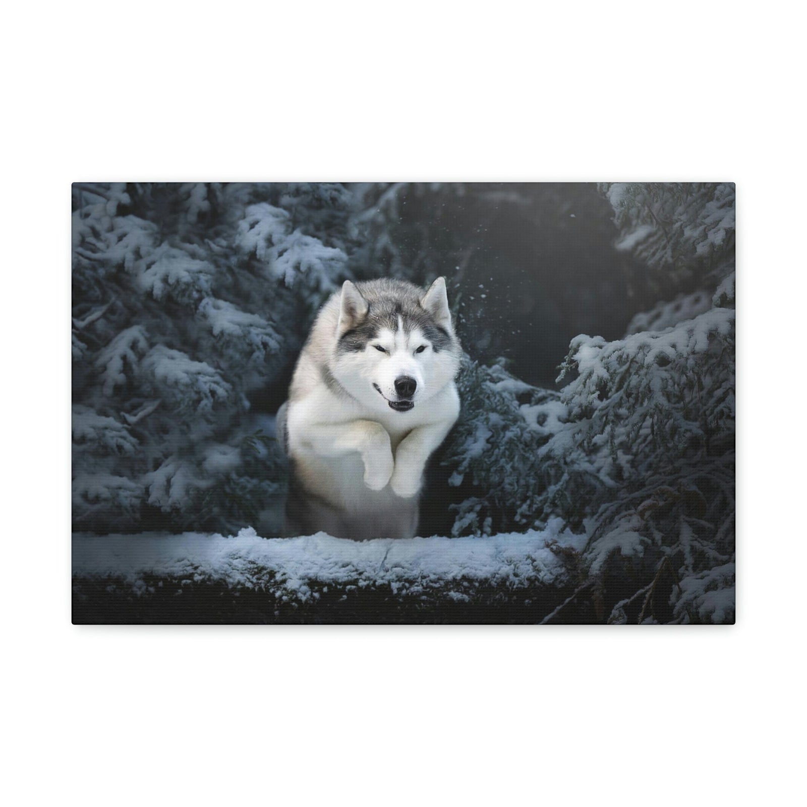 Scripture Walls Siberian Husky Hunting Siberian Husky on Hunt Print Animal Wall Art Wildlife Canvas Prints Wall Art Ready to Hang Unframed-Express Your Love Gifts