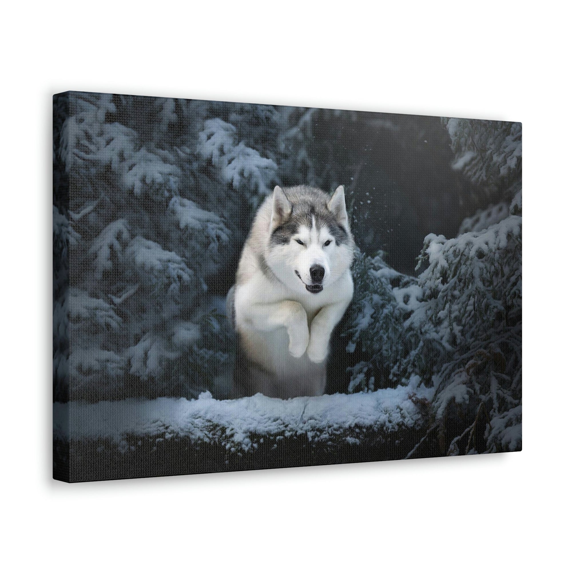 Scripture Walls Siberian Husky Hunting Siberian Husky on Hunt Print Animal Wall Art Wildlife Canvas Prints Wall Art Ready to Hang Unframed-Express Your Love Gifts