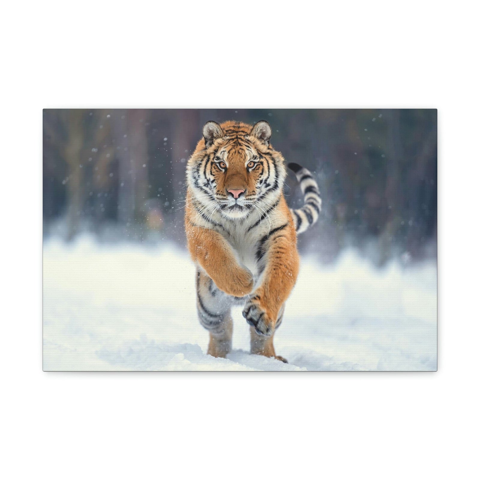 Scripture Walls Siberian Tiger Hunting Siberian Tiger on Hunt Print Animal Wall Art Wildlife Canvas Prints Wall Art Ready to Hang Unframed-Express Your Love Gifts