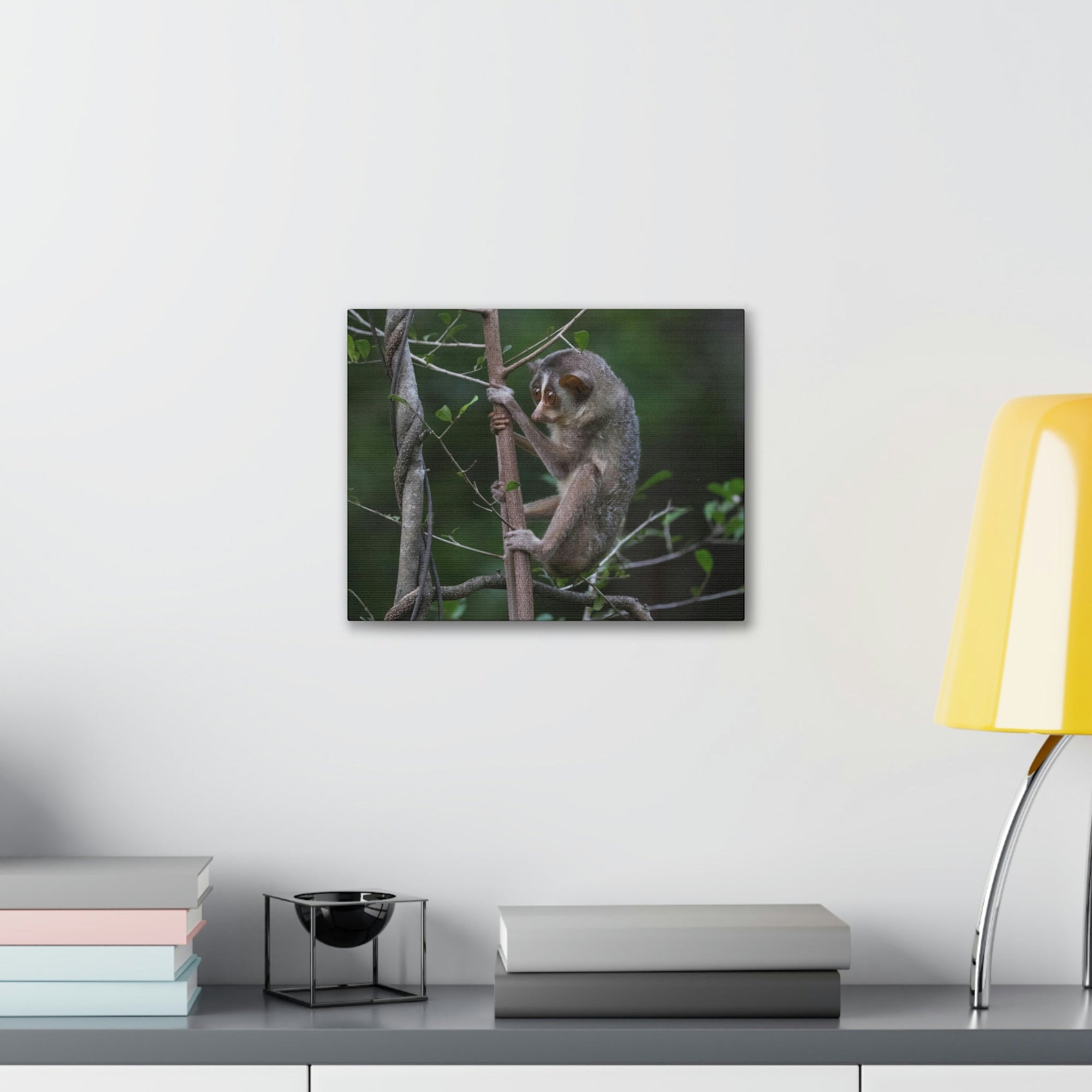 Scripture Walls Slender Loris Hunting Slender Loris on Hunt Print Animal Wall Art Wildlife Canvas Prints Wall Art Ready to Hang Unframed-Express Your Love Gifts